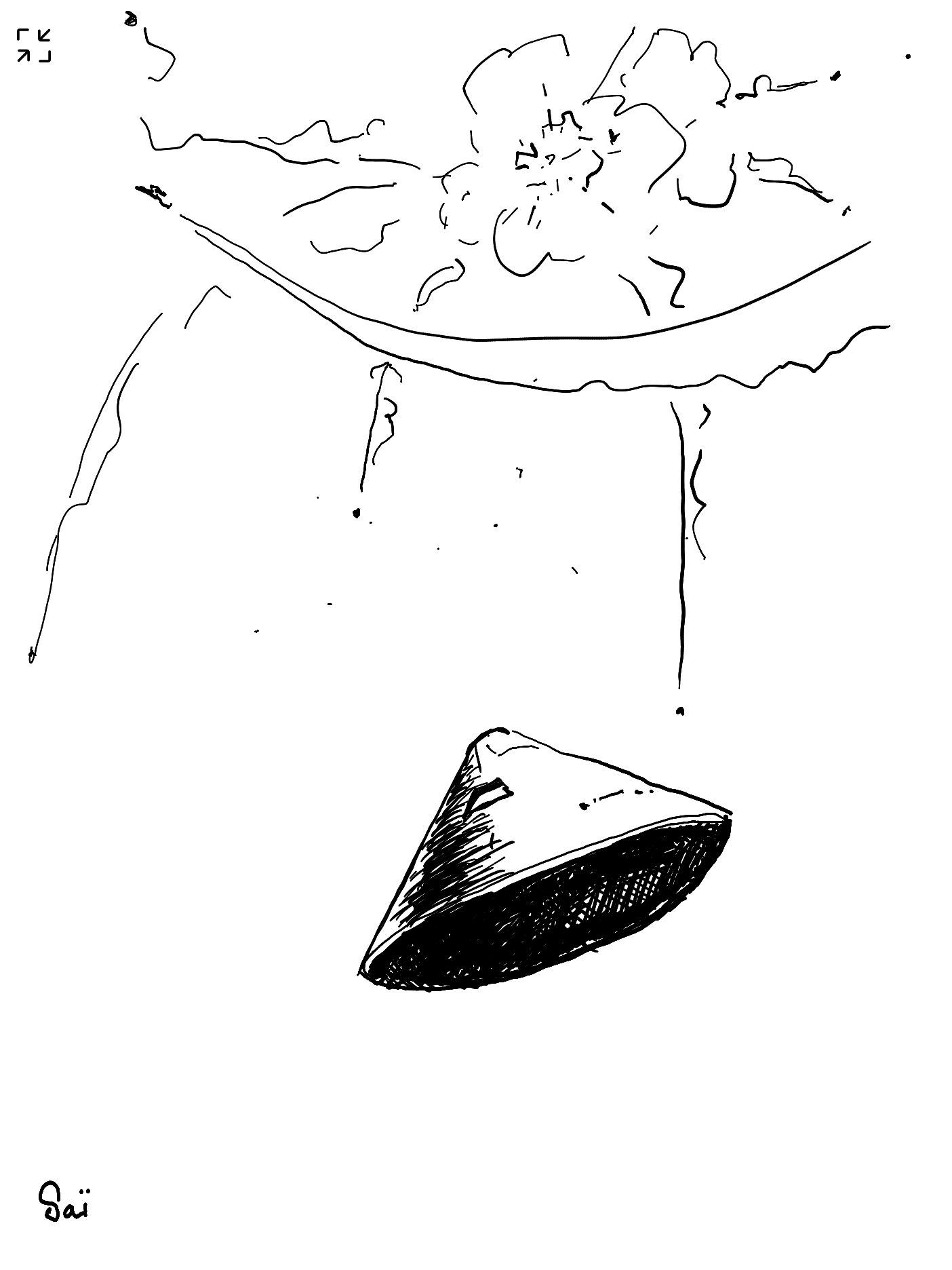 Un dessin ou l'on voit tomber une capsule d'atterrissage et dans le ciel une explosion et un engin a réaction.