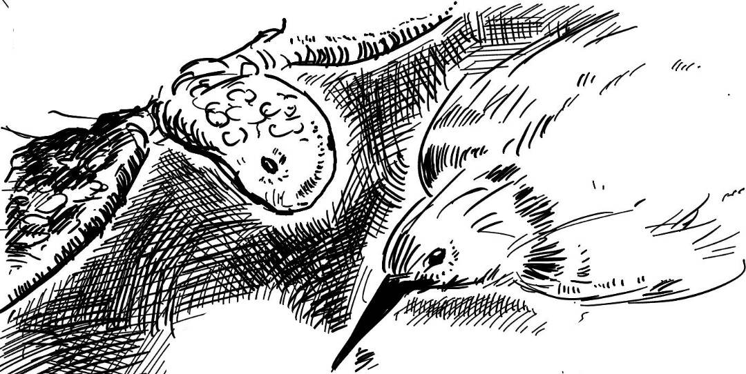 Un dessin au trait d'une tortue et d'un oiseau 
