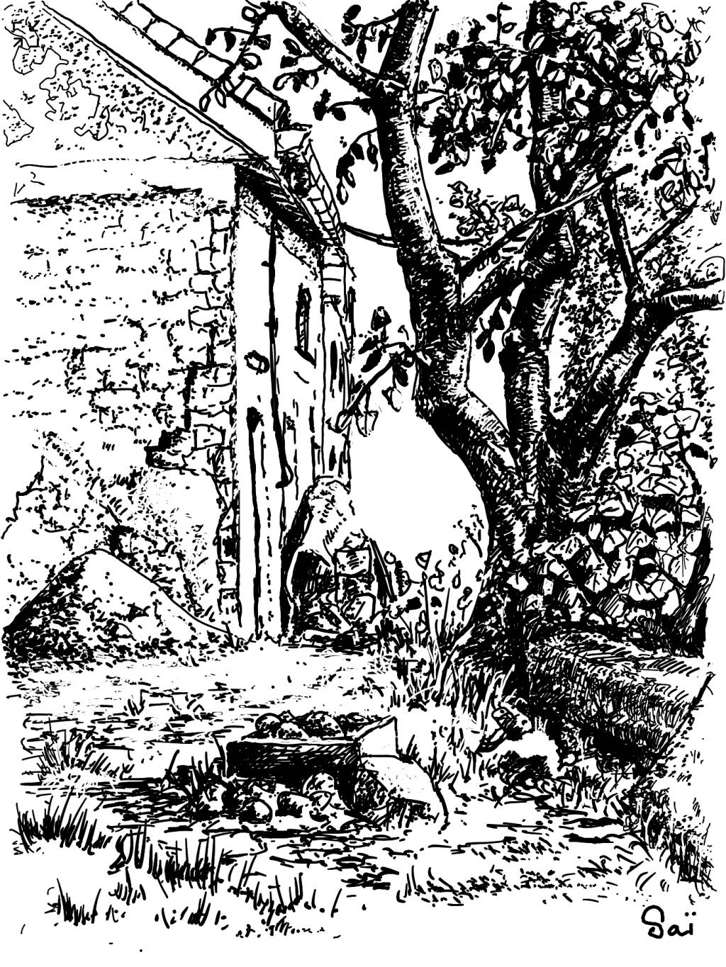 Un dessin en noir et blanc avec un prunier et une maison et un jardin en travaux